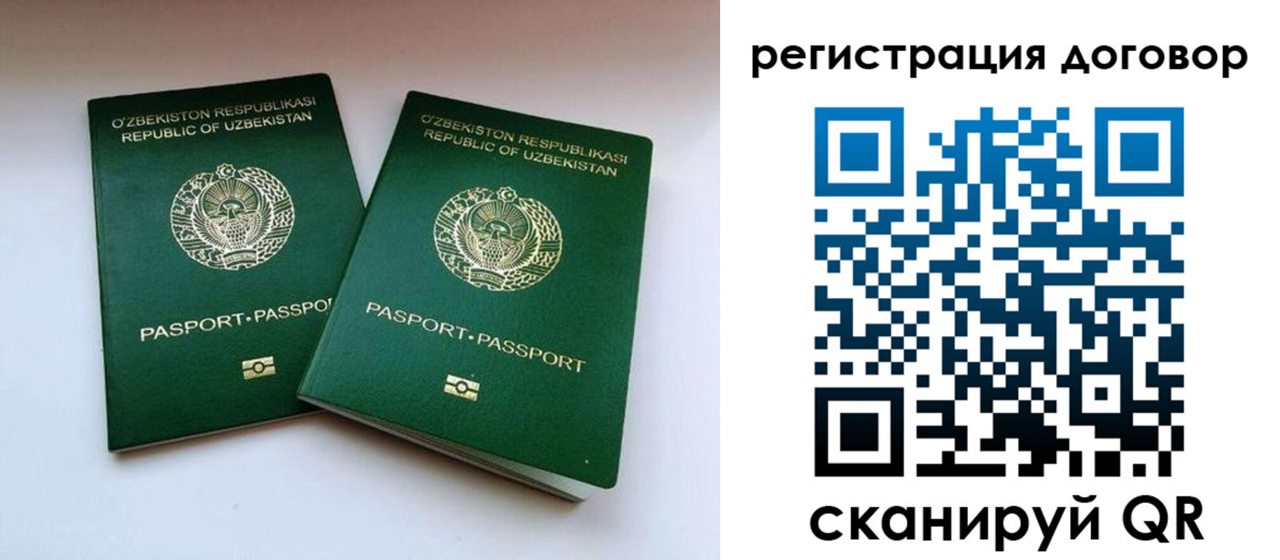 миграционный учет в Ярославской области